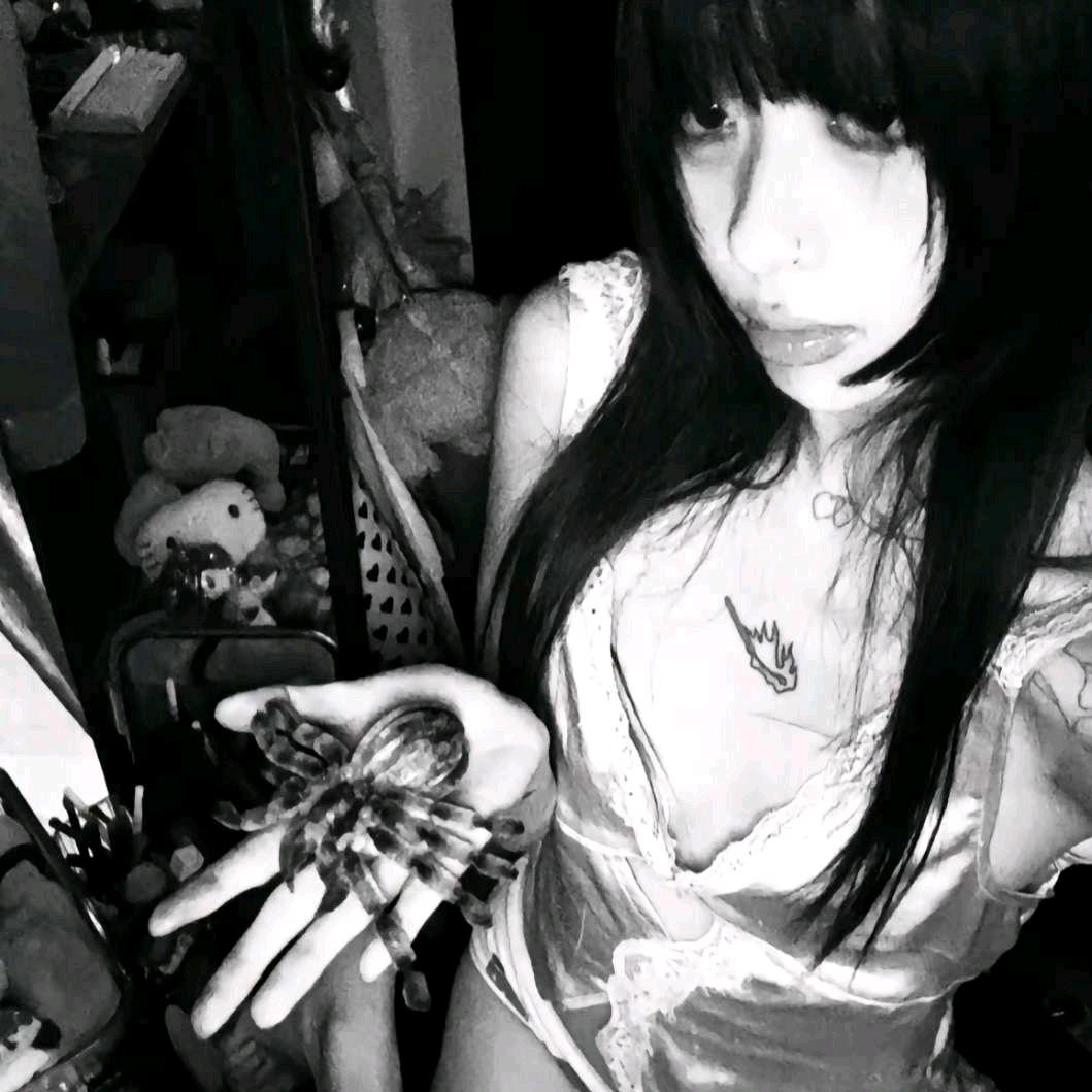 星河..