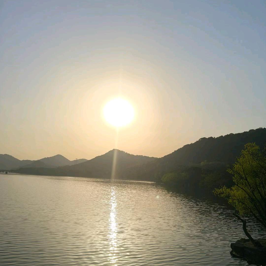 评论被禁一个月