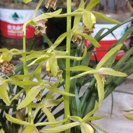 外面再好不是家