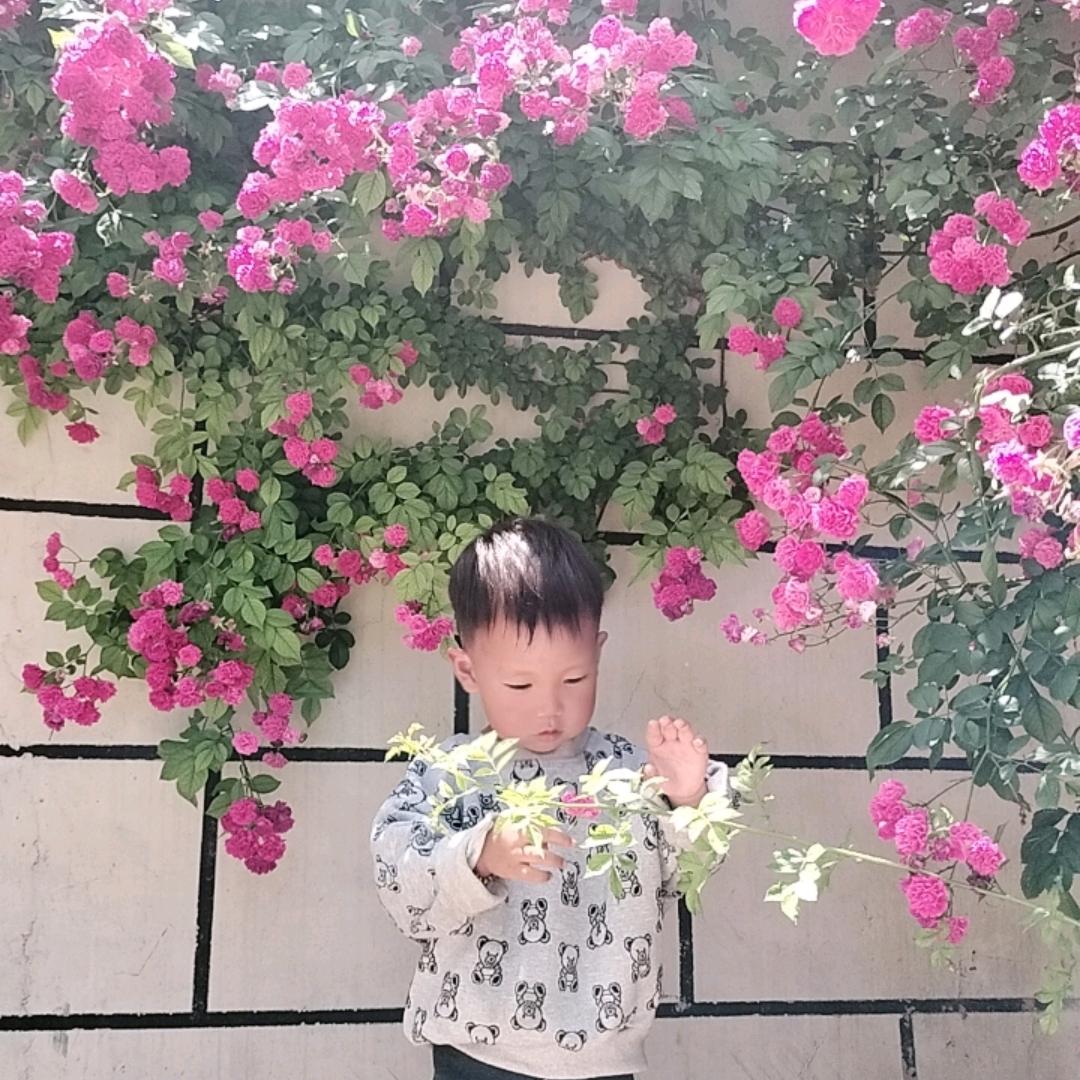 王子