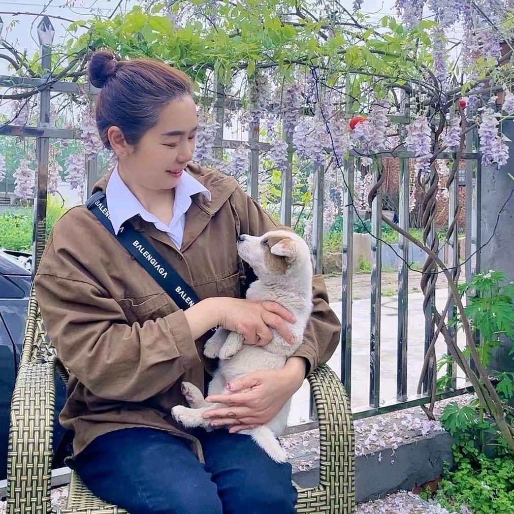 琴小妹的金丝楠木苗圃