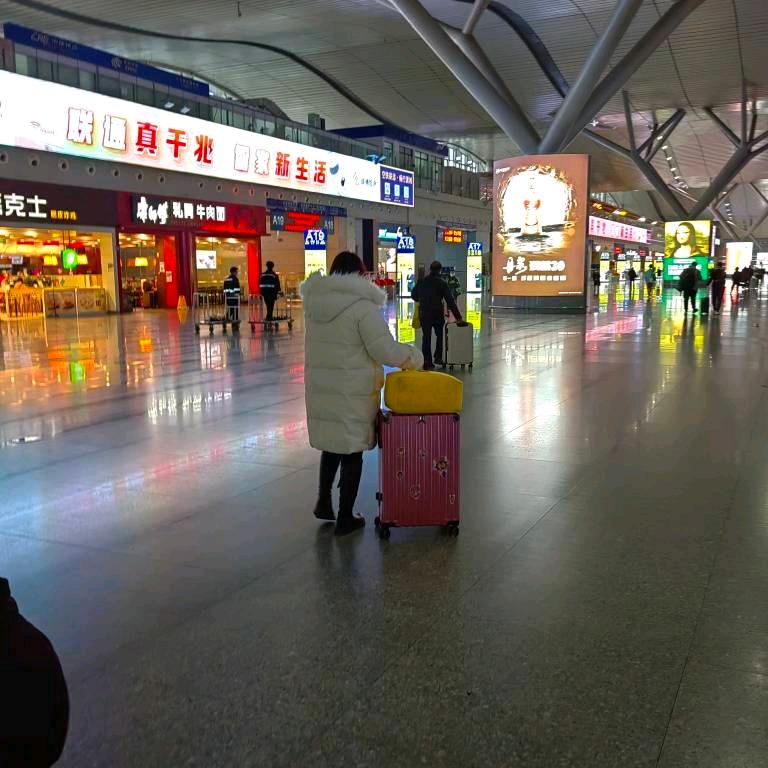 冬天的太阳55777