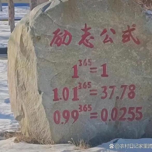淄博萝卜糖球会
