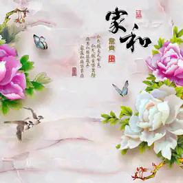 唯美装饰公司✈️