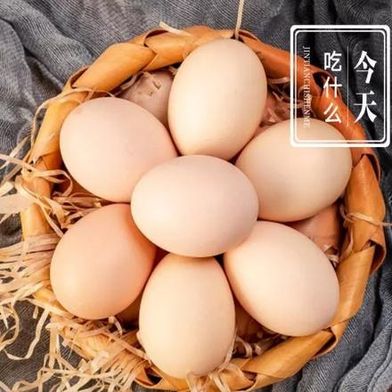 瞎扯蛋🥚