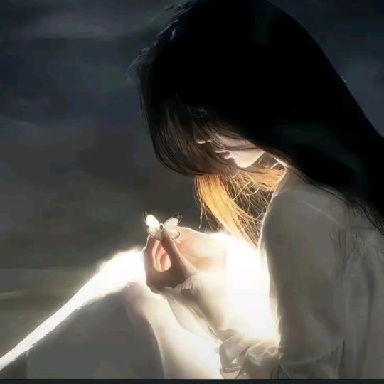 ❛‿˂̵ 一只猫的口袋