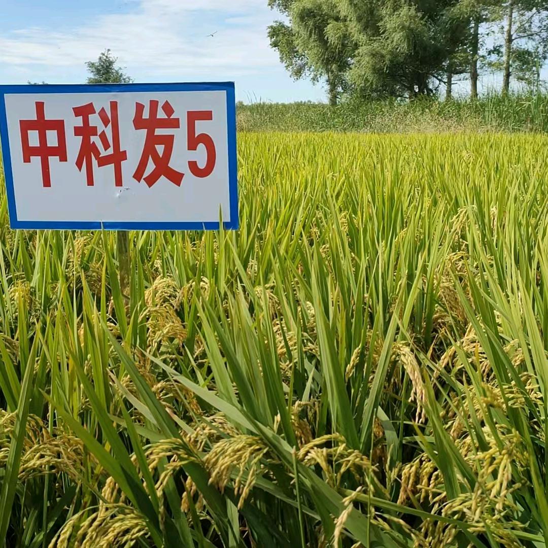搬运工