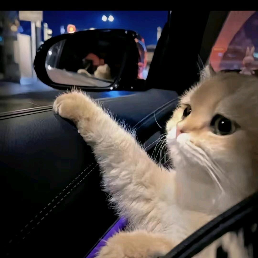 向前看、