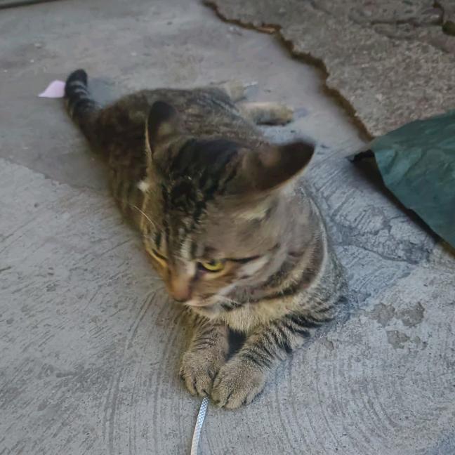 哟喂