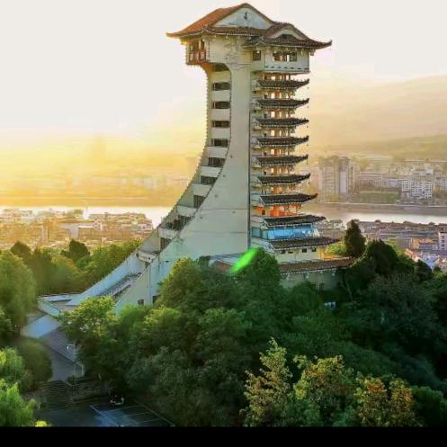 玫瑰