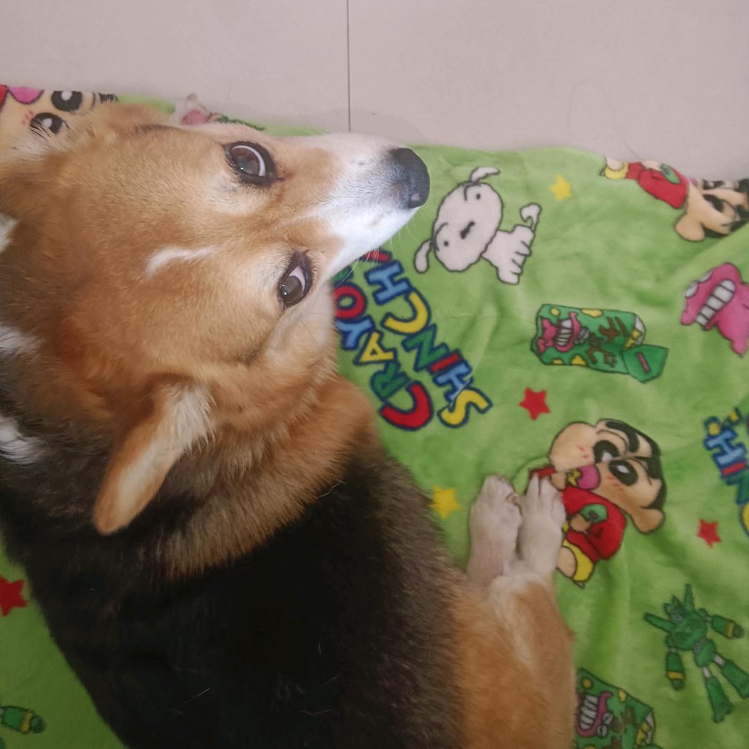 团团