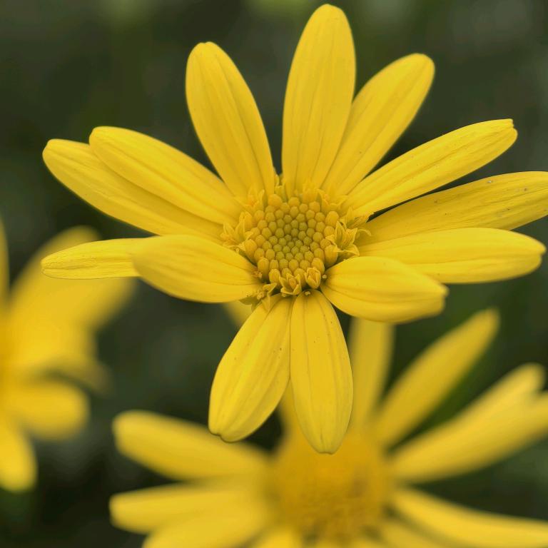 ღ᭄ꫛ: 归零໑ຼₒ₂₄ ღ᭄