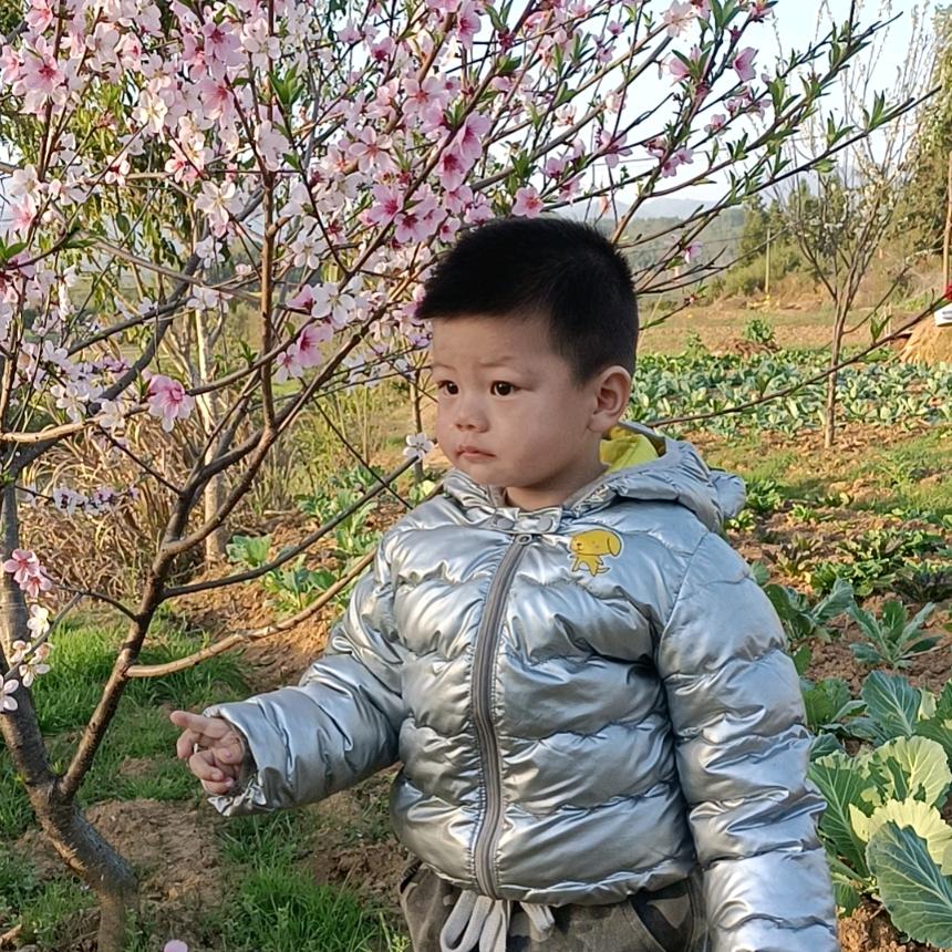 我是东岸村二组曾凡兵