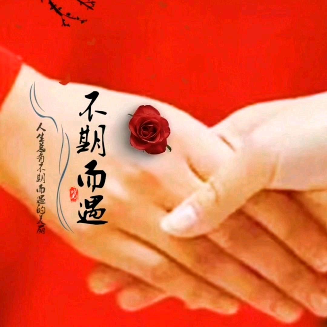 一生无悔