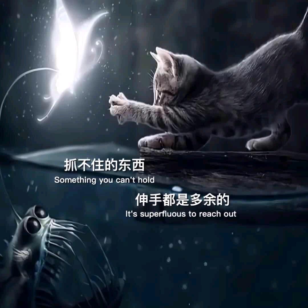 ꧁࿆ั随遇༒而安✾࿆头像