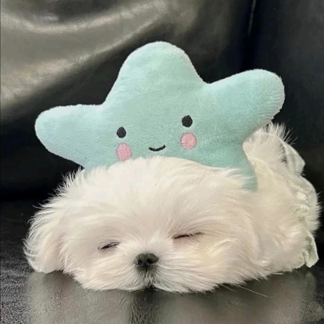 清允儿☁️