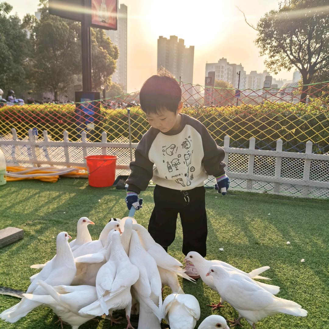 小六月呀（关必回）