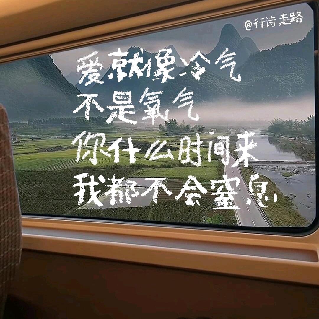 冷月无声🌟