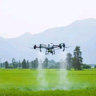 批发新疆和田大枣