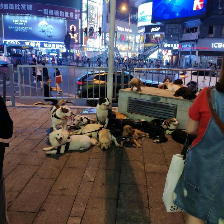 宾克斯的美酒
