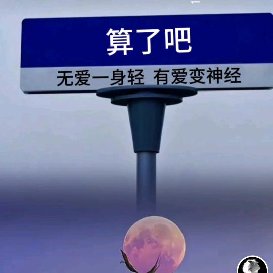 乌七八黑蛋蛋