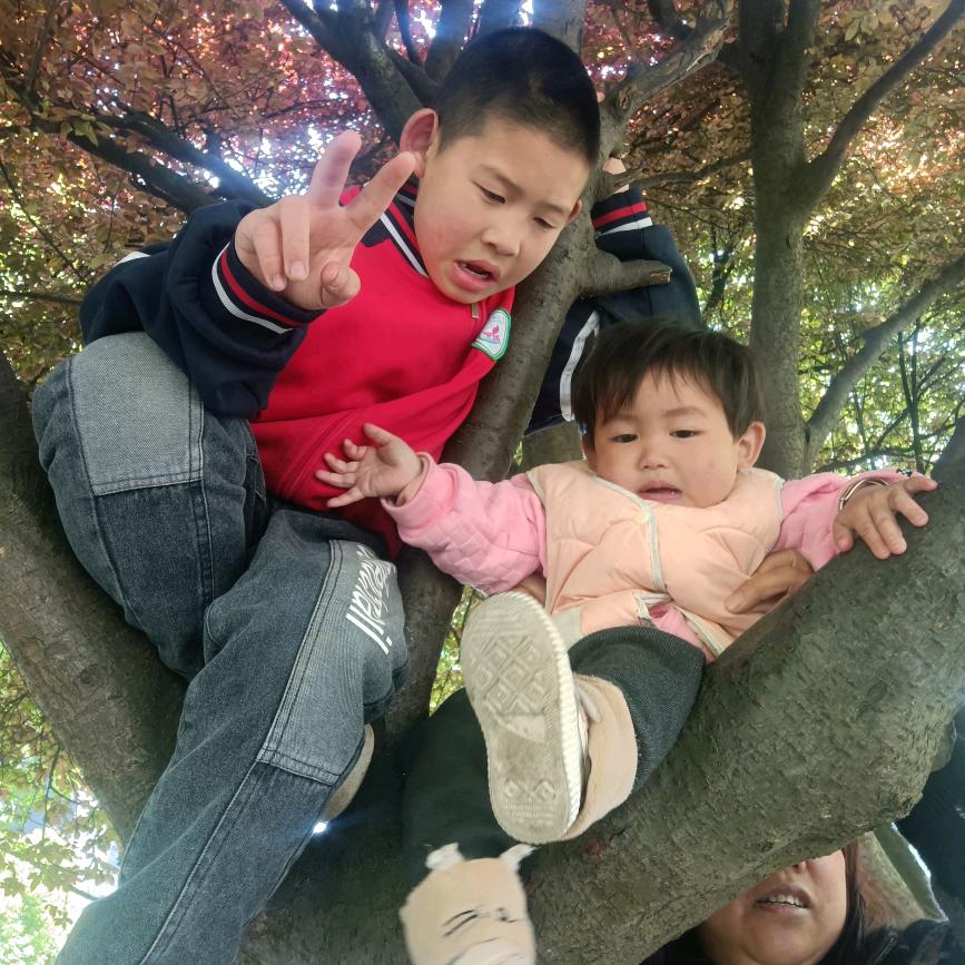 房顶阳光棚光伏施工队