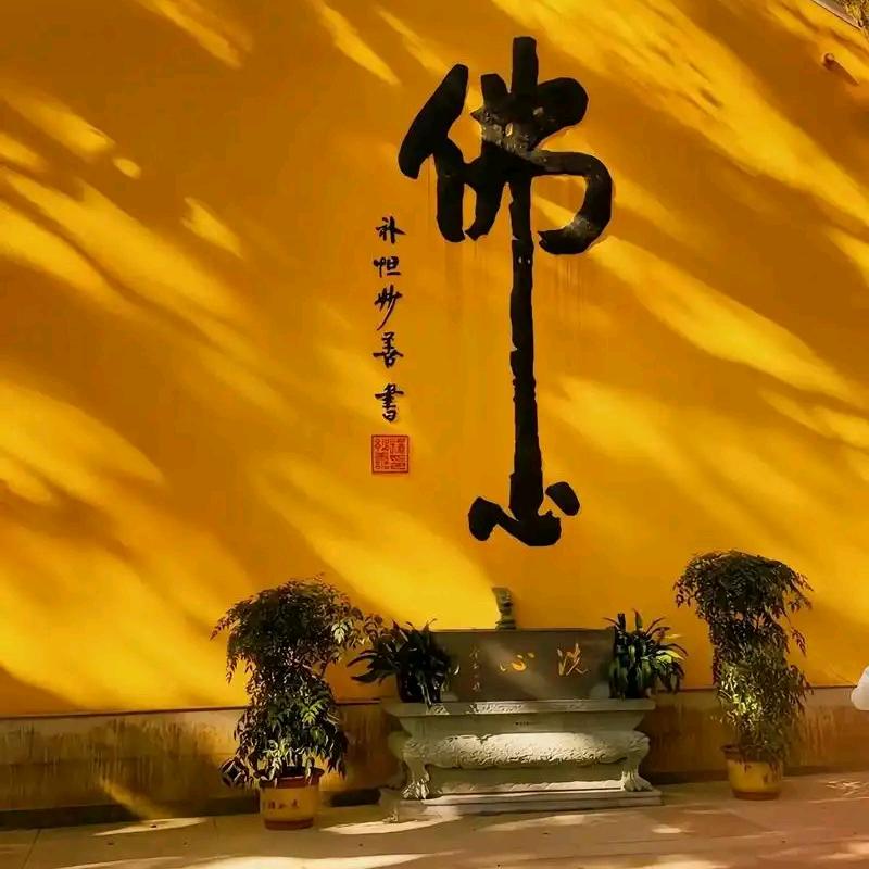 善意慧心
