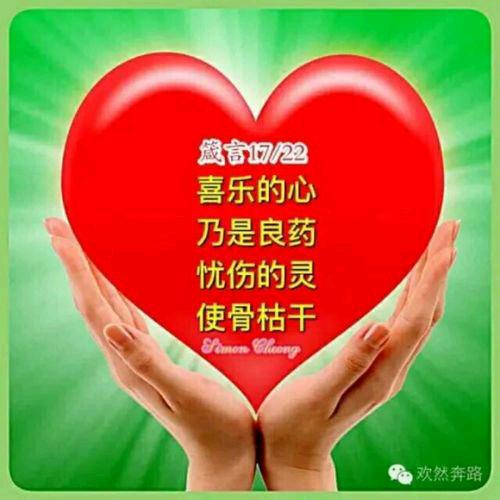 会善解人意（郓城县梁王家政服务中心）