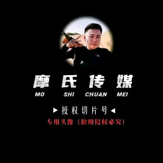达摩切片—汐汐