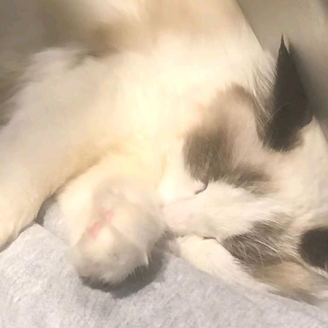 伤心o.O