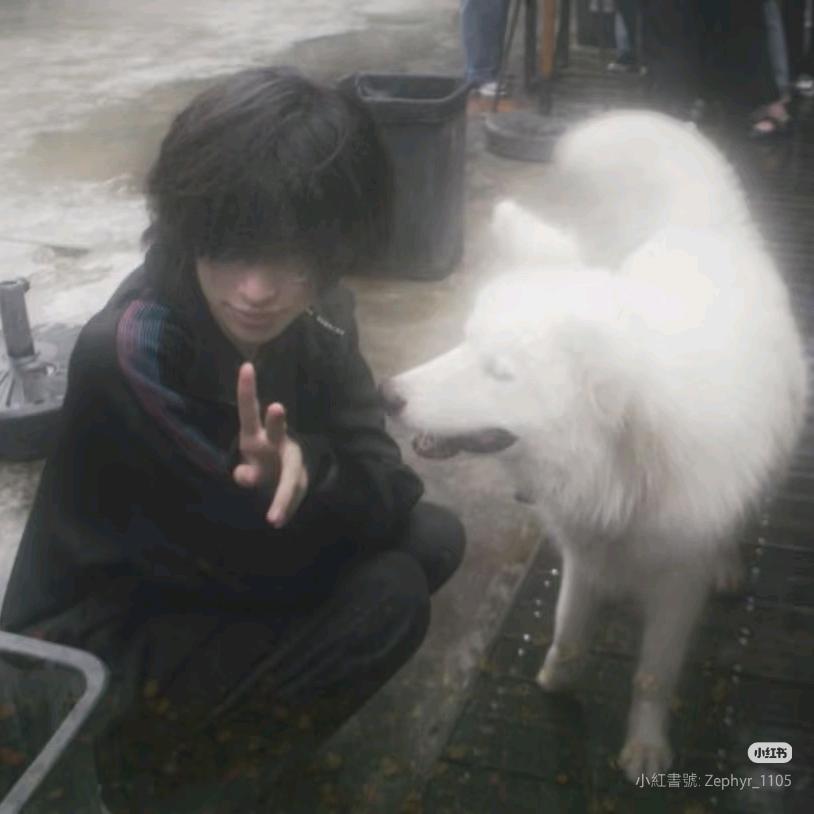 seshi（专辑30%）