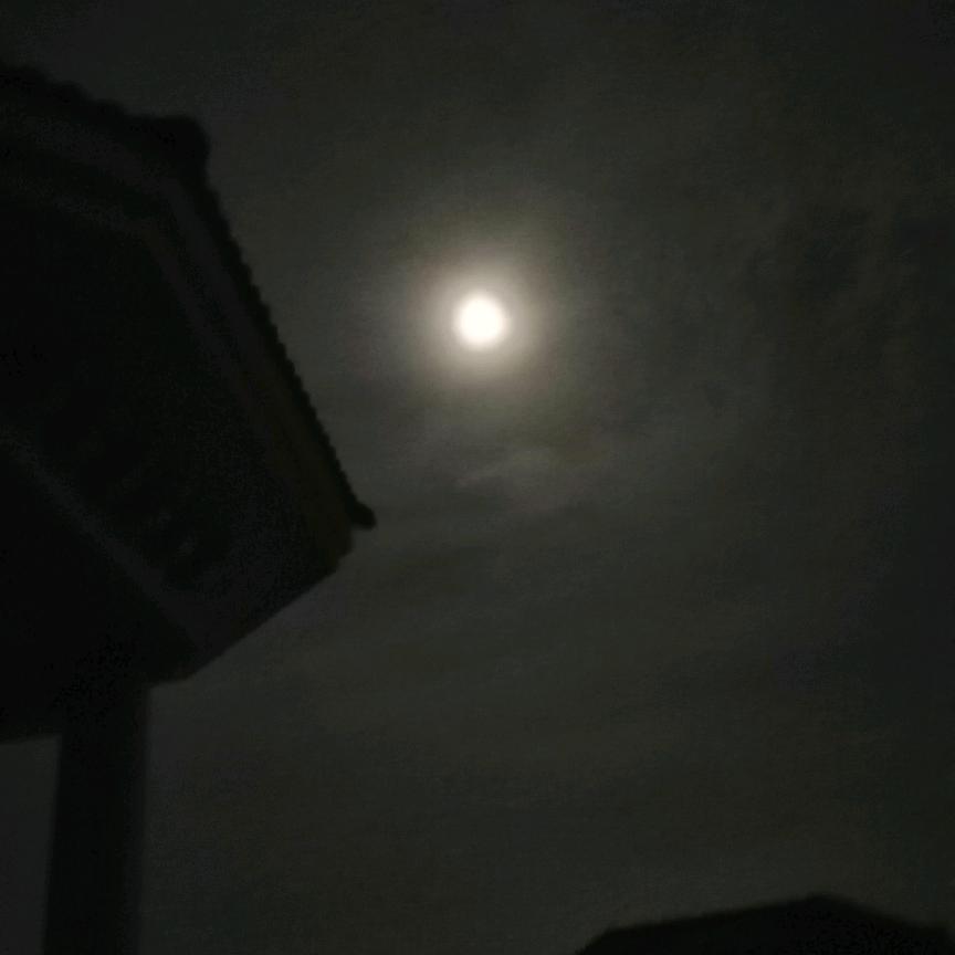 洪亮🌙
