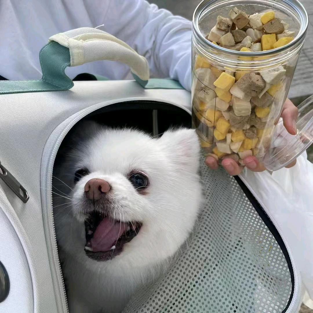 乔白只想躺（求推荐版）