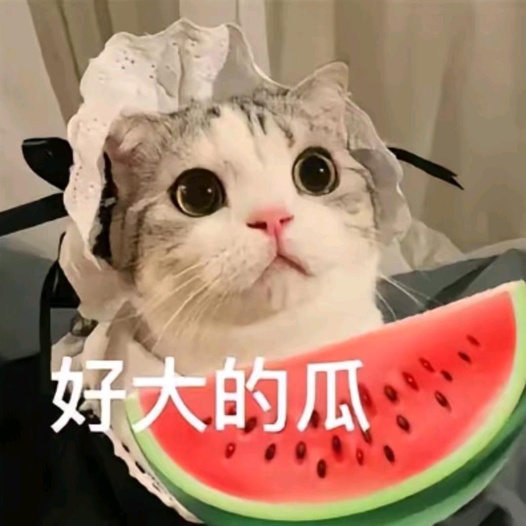 古德猫宁（三角洲）