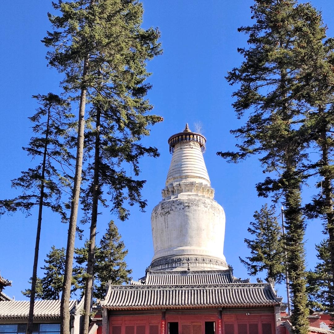 你不美，却深驻我心