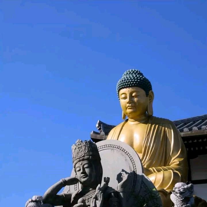 志.