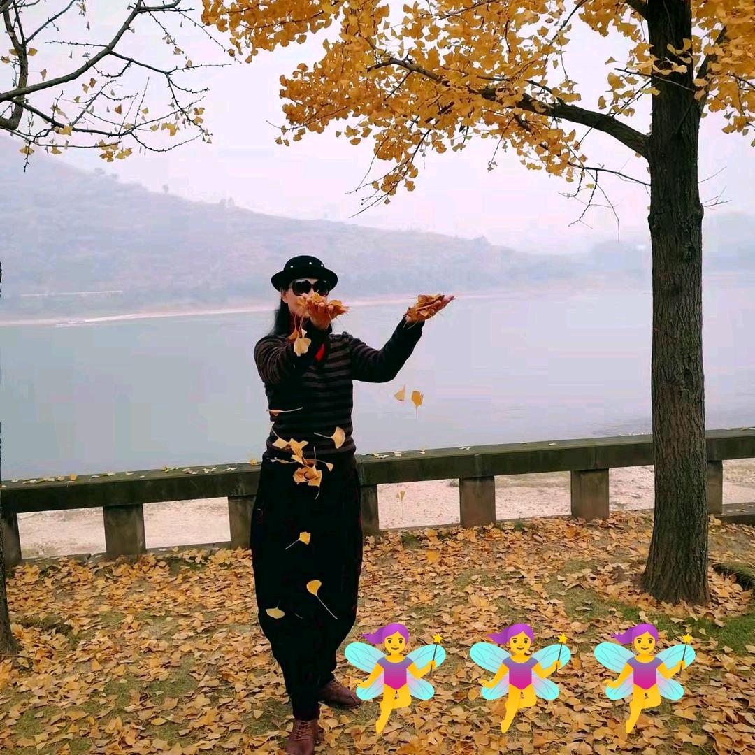 云淡风轻👑