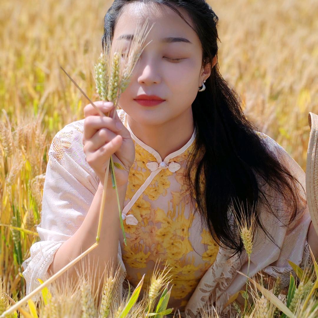 清澜杉杉