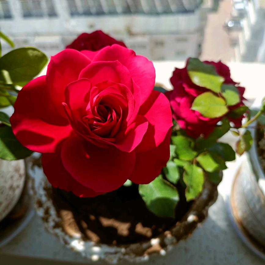 用户2648451738383繁华