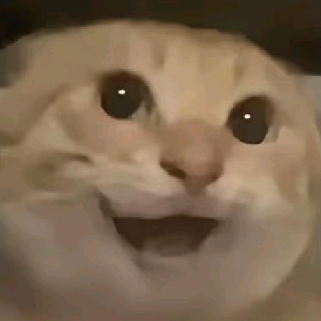 遗憾人生主旋律