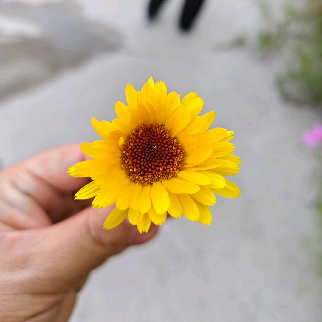 好运常在8899