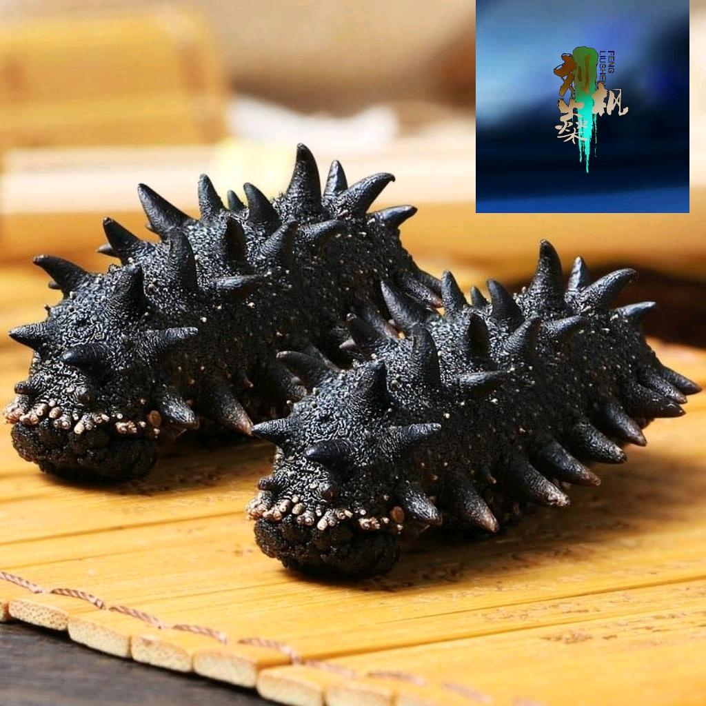 枫子吃海参