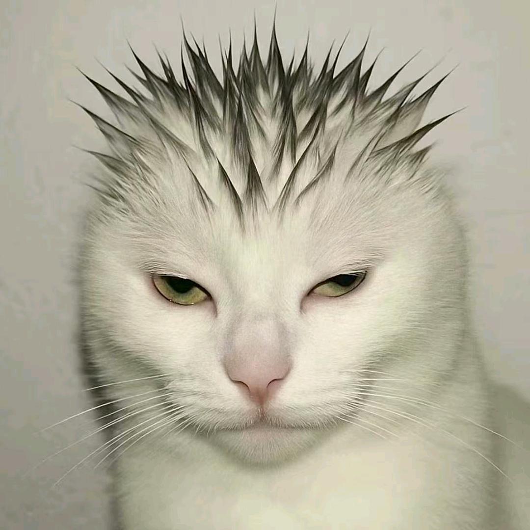 上清