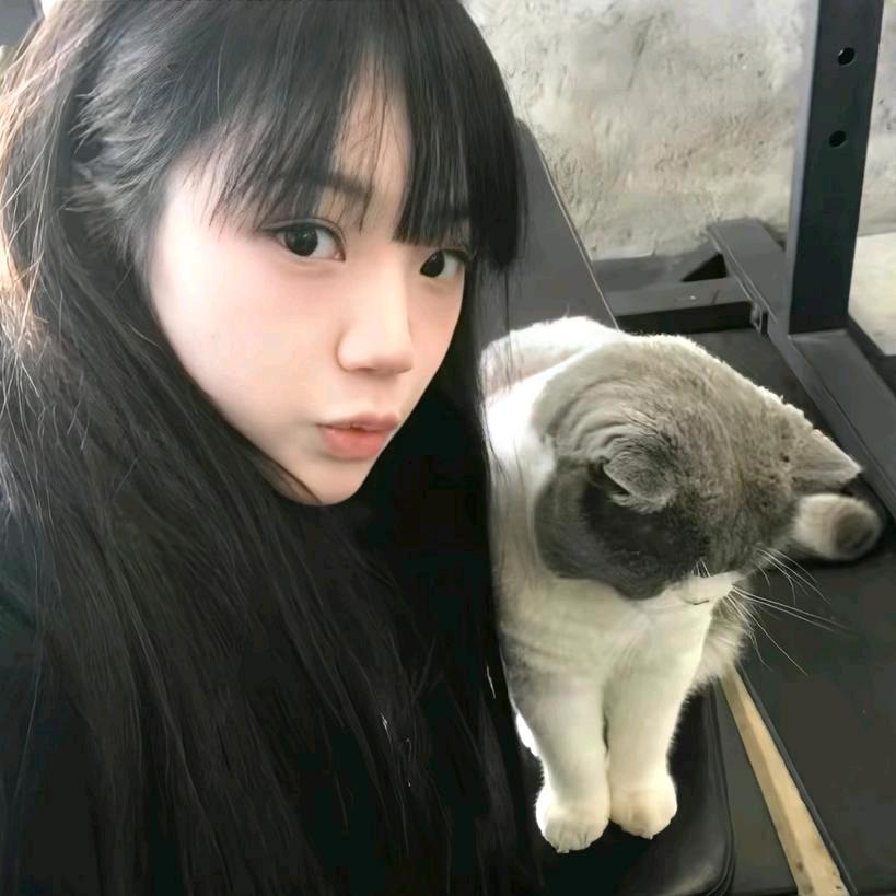 明天不熬夜了˃̣̣̥᷄⌓˂̣̣̥᷅