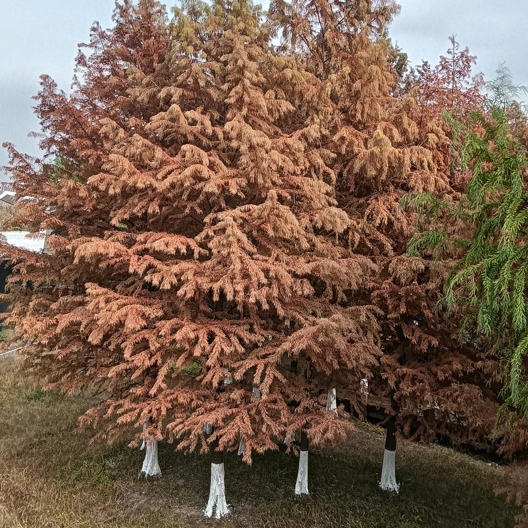 从此㜂孞，再不动心！