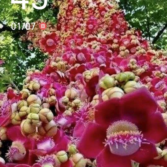休青