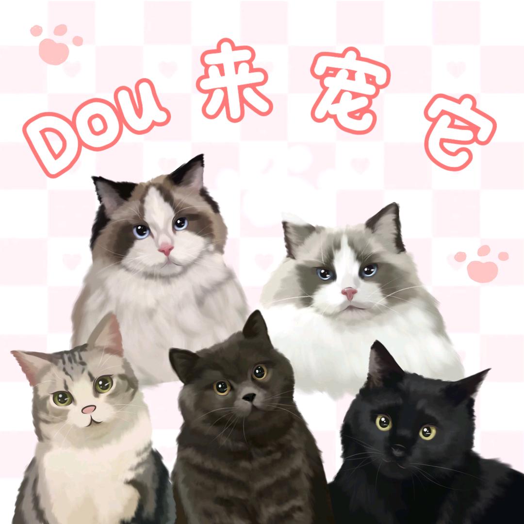 都来宠它