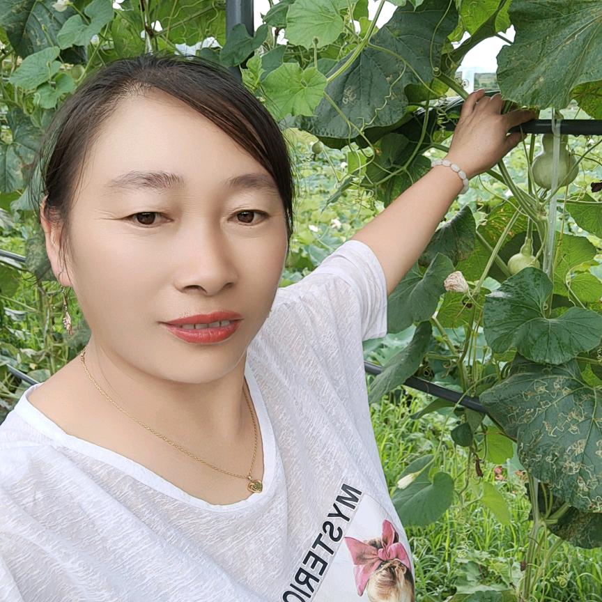 卖菜的姐姐