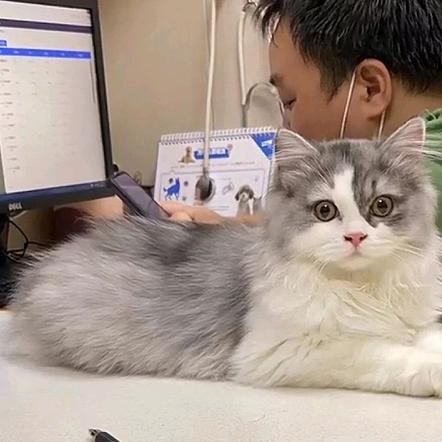 活成小透明