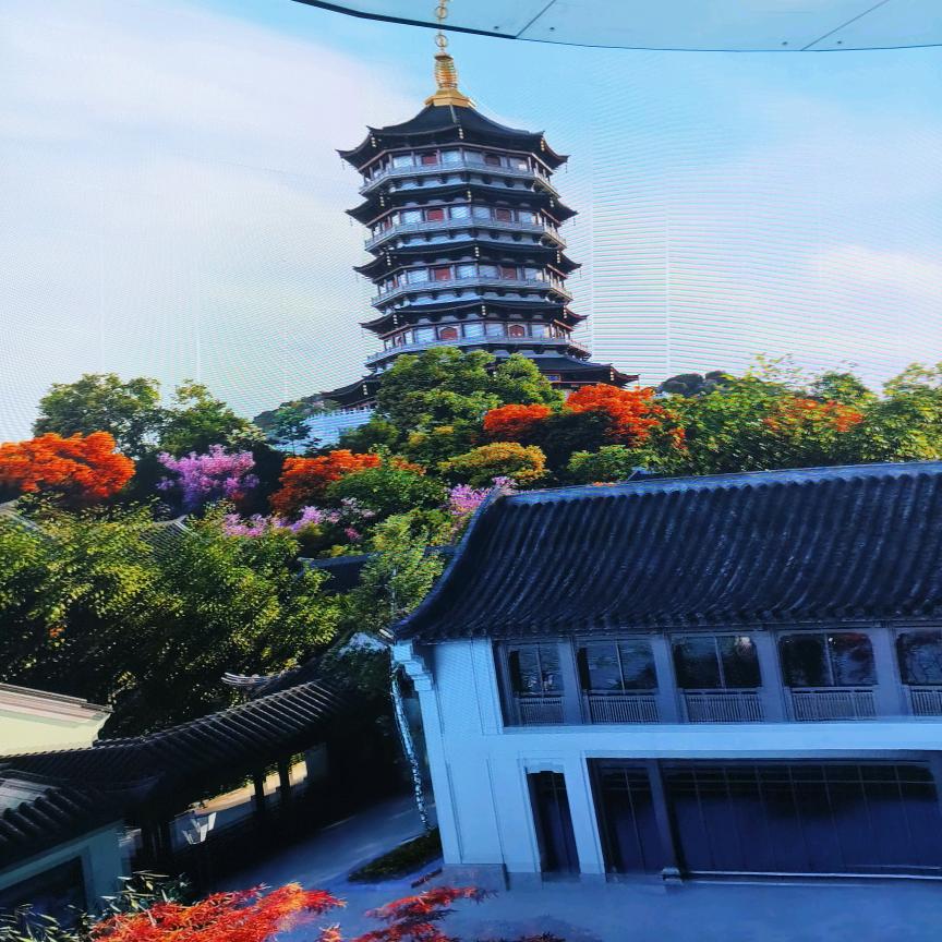 財✍🏻✍🏻✍🏻✍🏻✍🏻